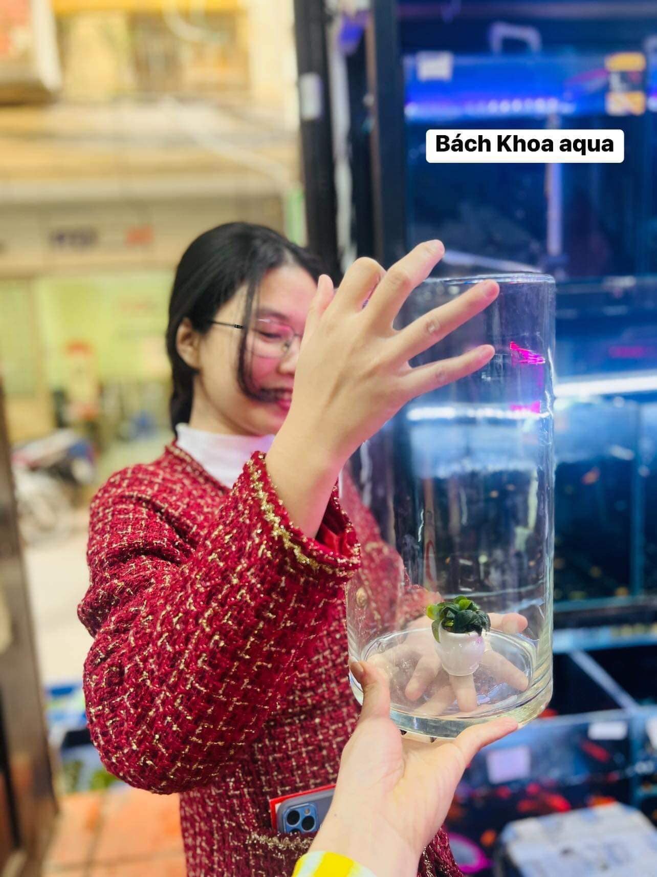 Cóng trụ 2 kích thước để bàn trang trí siêu đẹp